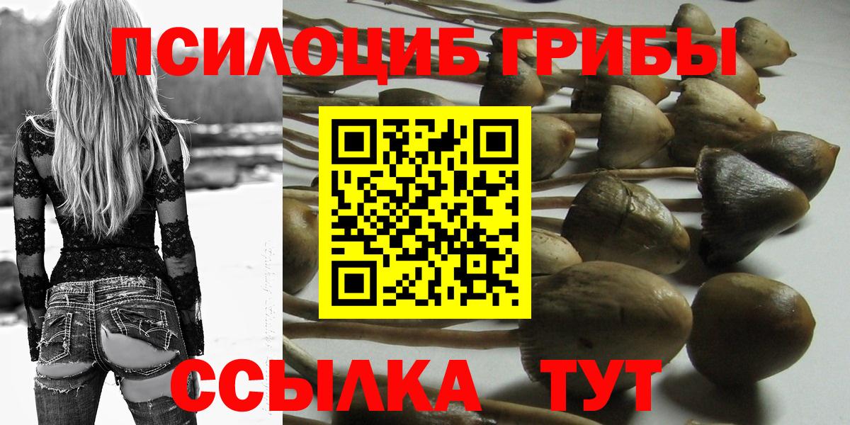 Псилоцибиновые грибы Magic Shrooms Фурманов