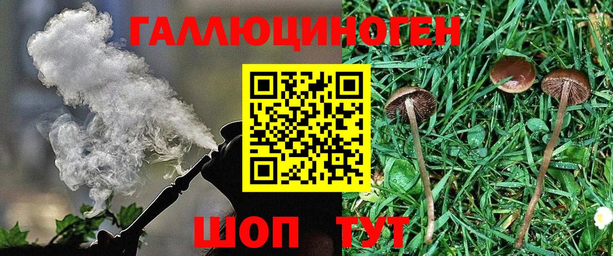 Фурманов  Псилоцибиновые грибы Magic Shrooms  Вход с VPN 